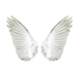 transparent angel wings by transparensies on tumblr