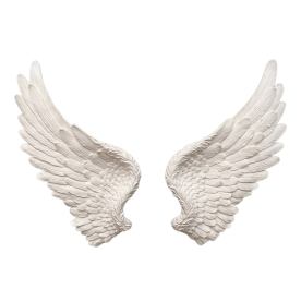 transparent angel wings by transparensies on tumblr