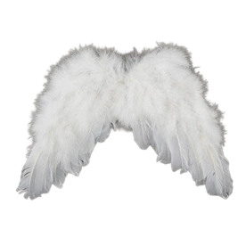 transparent angel wings by transparensies on tumblr