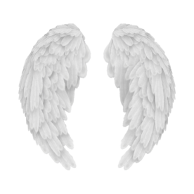 transparent angel wings by transparensies on tumblr